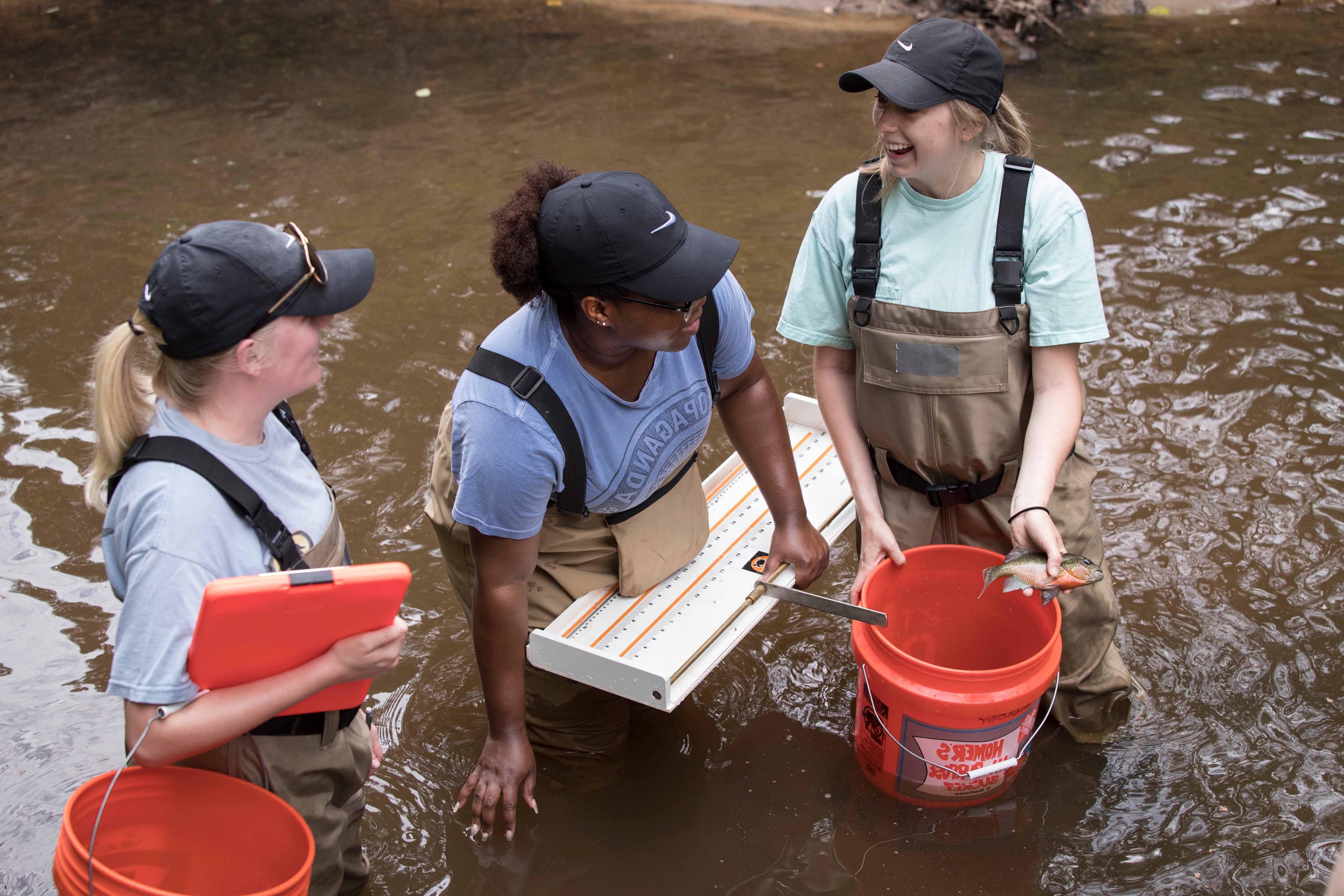 Students catching fish